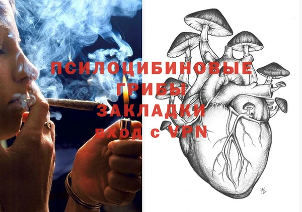 ПСИЛОЦИБИНОВЫЕ ГРИБЫ Бородино