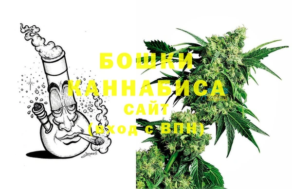 мдпв Богданович