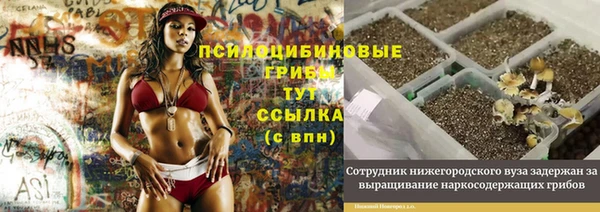 мдпв Богданович