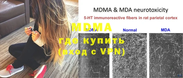 ПСИЛОЦИБИНОВЫЕ ГРИБЫ Бородино