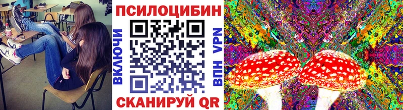 ссылка на мегу зеркало  Конаково  Псилоцибиновые грибы Psilocybine cubensis 
